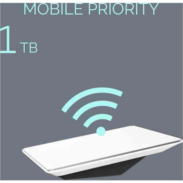 Mobile Priority Service Plan - ON THE GO 1TB